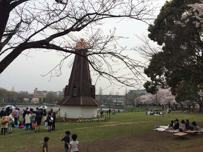 20150603-17-03-Windmills -Japanese-Flowers